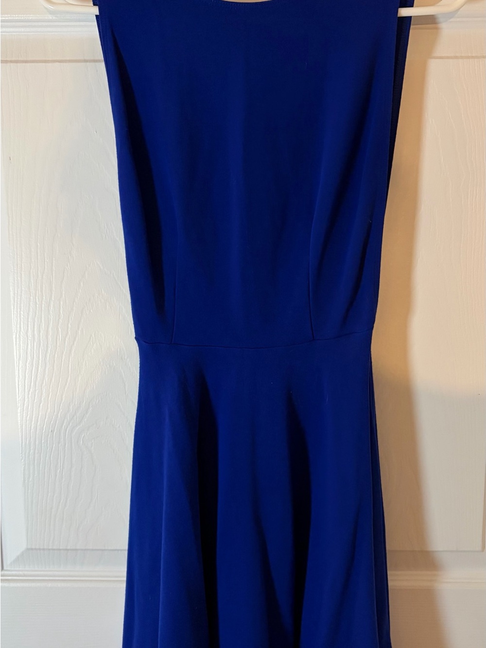 American Apparel Sleeveless Skater Dress in Cobalt Blue